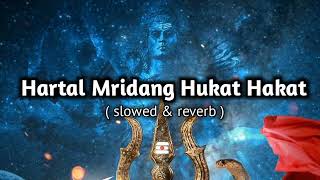 Hartal Mridang Huhukat Hakat Dhakat Dheekat Naad Dhare  slowed amp reverb [upl. by Neenwahs]