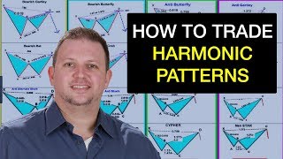 How to trade Harmonic Pattern the RIGHT way  Forex Webinar by Vladimir Ribakov [upl. by Laemaj]