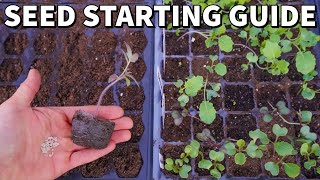 The Ultimate Beginners Guide To STARTING SEEDS Indoors [upl. by Yeslaehc451]