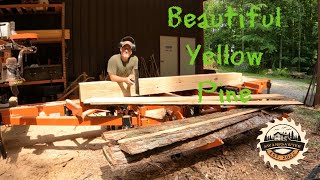 Beautiful Yellow Pine [upl. by Usanis]