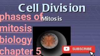 cell divisionmitosisstagessomatic and germ line cellmitosis kesy hotiThe vibes [upl. by Burnaby]