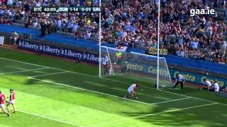 Top 5 GAA Hurling Goals  2013 [upl. by Pace]