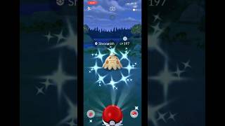 Hunting✨Shroomish✨ pokemongo pokemongoshorts shinypokemon shinyhunting pokemongocommunityday [upl. by Elleuqram]