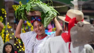 Estampa Cultural la Cosecha María Ermencina López [upl. by Nerwal134]