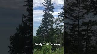 Fundy Trail Provincial Park  Parks  NB Parks  Fundy Trail Parkway  Fundy  shorts fundy [upl. by Nylorak]