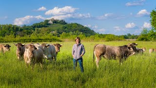 Découvrir La Ferme de Bérénice [upl. by Anomar]