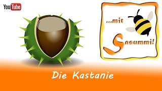 Fingerspiele Singen mit Sasummi  Die Kastanie [upl. by Shamus]