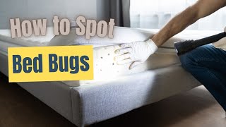 How to Identify Bed Bugs Signs and Symptoms [upl. by Limaa]