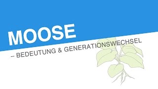 MOOSE – BEDEUTUNG GENERATIONSWECHSEL  Biologie [upl. by Nniuq252]