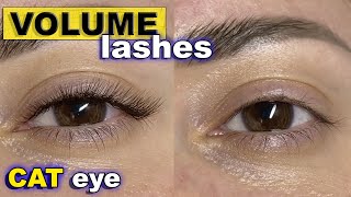 CAT EYE lash extensions  2D volume with thin eyelashes 007 with L curl [upl. by Eiresed]