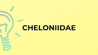 What is the meaning of the word CHELONIIDAE [upl. by Adyl922]