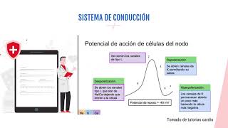 Farmacología 31 Fármacos Antiarrítmicos [upl. by Assened]