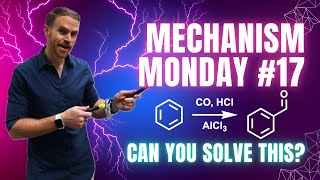 Mechanism Monday 17 Electrophilic Aromatic Substitution [upl. by Eahsel175]