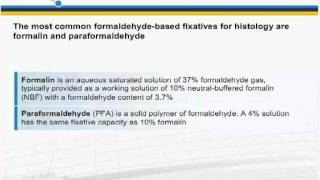 Immunohistochemistry IHC principles and troubleshooting [upl. by Eillehs]