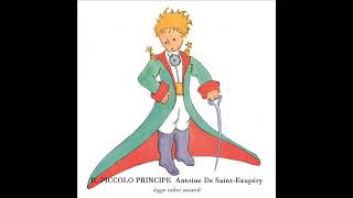 IL PICCOLO PRINCIPE Antoine De Saint Exupéry LETTURA INTEGRALE [upl. by Brocklin407]