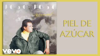 José José  Piel de Azúcar Cover Audio [upl. by Adniram892]