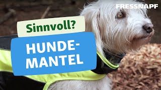 Der Hundemantel – Tipps für den Winter [upl. by Alliw]