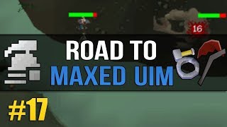 OSRS Ultimate Ironman Road to Max 17  Dagannoth Rex SO MANY DROPS [upl. by Mosley900]