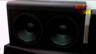 CEDIA 2011 Procella Audio Talks About Its Subwoofer Range [upl. by Nitz]