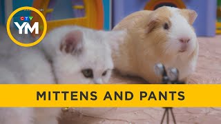 Meet Mittens and Pants  Your Morning [upl. by Orabla]