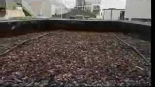 Commercial Composting from Green by Nature [upl. by Atsira243]