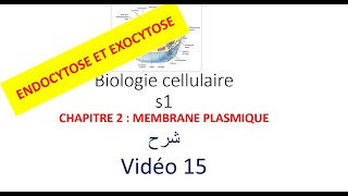 biologie cellulaire s1 vidéo 015  la membrane plasmique شرح [upl. by Eikkin]