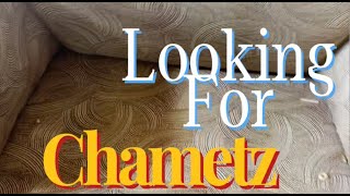 Looking For Chametz A Passover Parody [upl. by Jordain592]