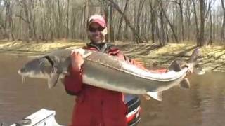 River Monsters Minnesota [upl. by Merell]