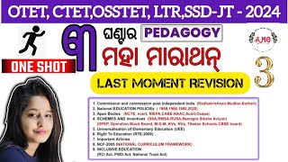 Pedagogy Marathon Education committee commission and insensitive schemes in India  OTET OSSTET LTR [upl. by Eelnayr]