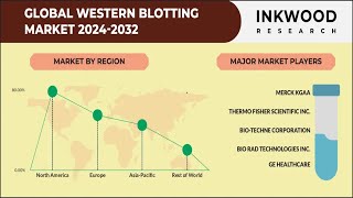 Western Blotting Market  Immunoblotting  Inkwood Research  2032 [upl. by Jodie]