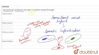 Somaclonal variations are seen in plants raised through [upl. by Bunce]