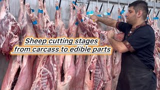 Teaching the complete cutting of sheep carcasses steps and techniques [upl. by Sisson44]