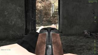 DayZ shooter narrated Randall Nastyass Honey Badger style [upl. by Nosro]