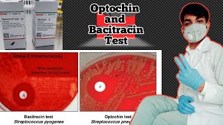 Optochin and Bacitracin test  Optochin susceptibility test  optochin sensitivity test procedure [upl. by Sileas]