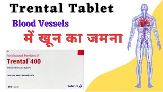 खून का जम जाना  trental 400 mg tablet pentoxifylline 400 mg [upl. by Euphemiah251]