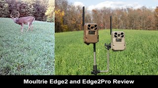 Moultrie Mobile Edge2 Cams  Review [upl. by Oflodor367]