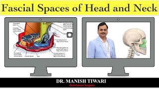 Odontogenic space infection part2  fascial spaces of head and neck [upl. by Assetan796]