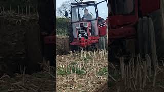 International 885XL Tractor at Lutterworth Ploughing Practice Day Sunday 14th April 2024 [upl. by Siloam315]