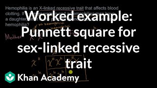 Example punnet square for sexlinked recessive trait  High school biology  Khan Academy [upl. by Dnalyram]