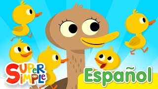 Cinco Patitos  Canciones Infantiles  Super Simple Español [upl. by Corbet]