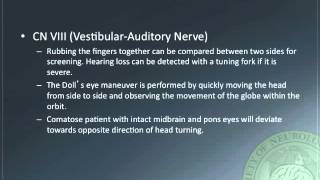 Neurological and Neurotrauma Assessment [upl. by Ttekcirc746]