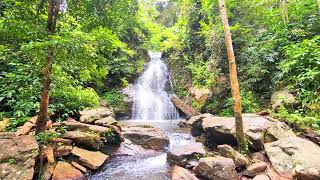 Manalar Falls One of the top tourist attractions on the Mekkarai to Achankovil Forest Route [upl. by Nannie918]