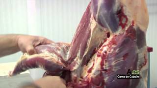 Canal Sur Reportaje CARNE CABALLO [upl. by Kifar]