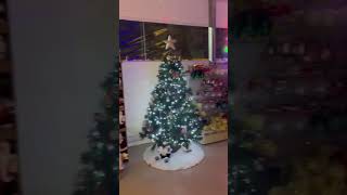 Agraria Gioiese Show Room dedicato interamente al natale [upl. by Mide]