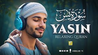 Surah Yasin Yaseen سورة يس  Relaxing heart touching Angelic voice  Zikrullah TV [upl. by Yelekreb]