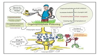 Organophosphate Poisoning Explained  EMT [upl. by Dominik]