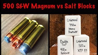 500 SampW Magnum vs Salt Blocks [upl. by La Verne]