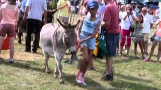 Theydon Bois Donkey Derby [upl. by Aidam]