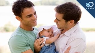 Science Supports Gay Parents [upl. by Nosretep]