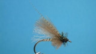 CDC Biot Caddis Emerger  tied by Hans Weilenmann [upl. by Willa]